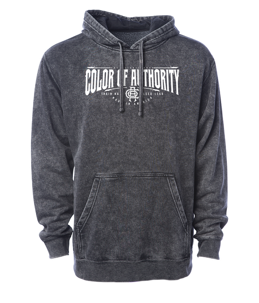 COLOR OF AUTHORITY MINERAL WASH HOODIE | VINTAGE BLACK